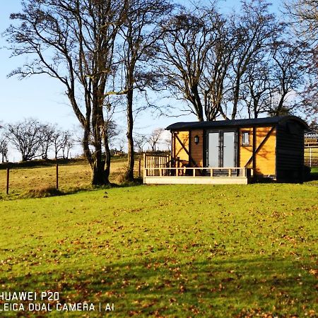 Pen-Rhos Luxury Glamping "Cuckoo'S Nest" Villa Llandrindod Wells Kültér fotó
