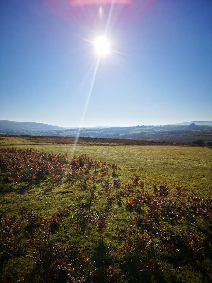 Pen-Rhos Luxury Glamping "Cuckoo'S Nest" Villa Llandrindod Wells Kültér fotó