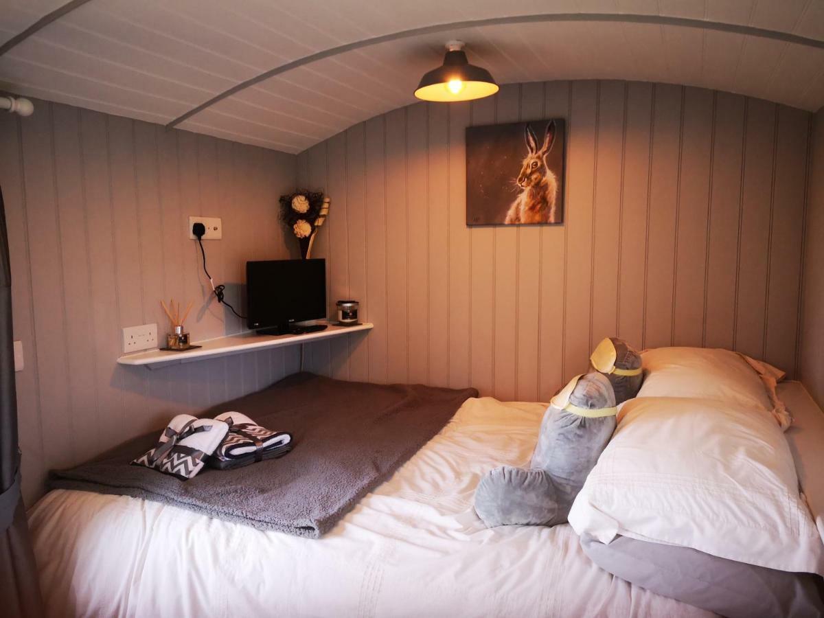 Pen-Rhos Luxury Glamping "Cuckoo'S Nest" Villa Llandrindod Wells Kültér fotó