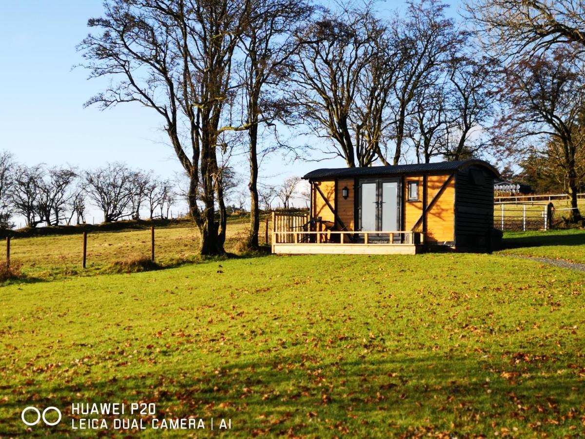 Pen-Rhos Luxury Glamping "Cuckoo'S Nest" Villa Llandrindod Wells Kültér fotó